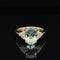 Aquamarine & Diamond 2.84ctw Cluster Ring in 18k Yellow Gold - #418 RGAQU006683